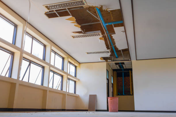 Best Flood damage cleanup  in Albion, NY