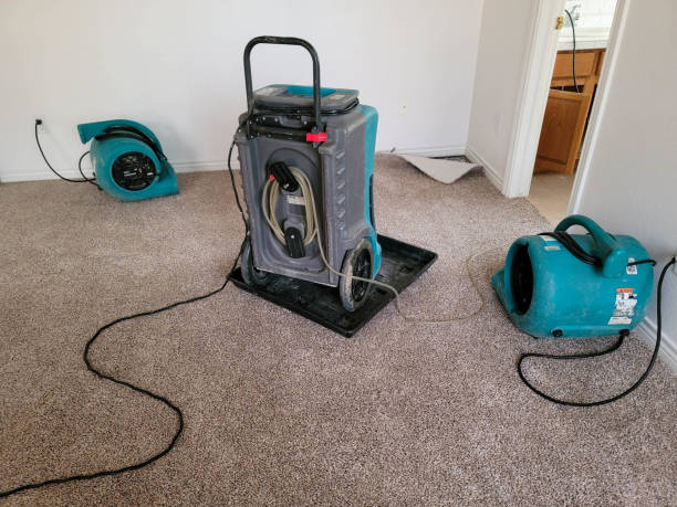 Best Water damage restoration near me  in Albion, NY