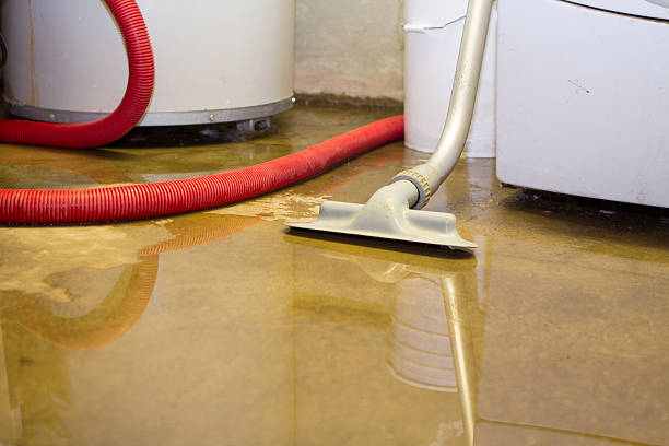 Best Sewage cleanup and water damage restoration  in Albion, NY