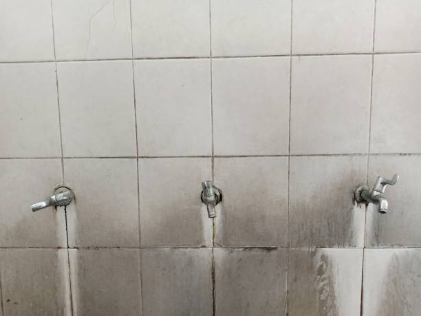 Best 24-hour water damage restoration  in Albion, NY